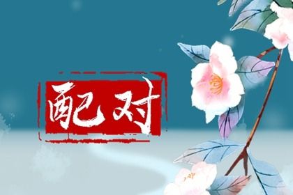本命盘查询,命宫十二宫排法,八字命宫吉凶排盘,新浪紫薇命盘,四柱排命盘